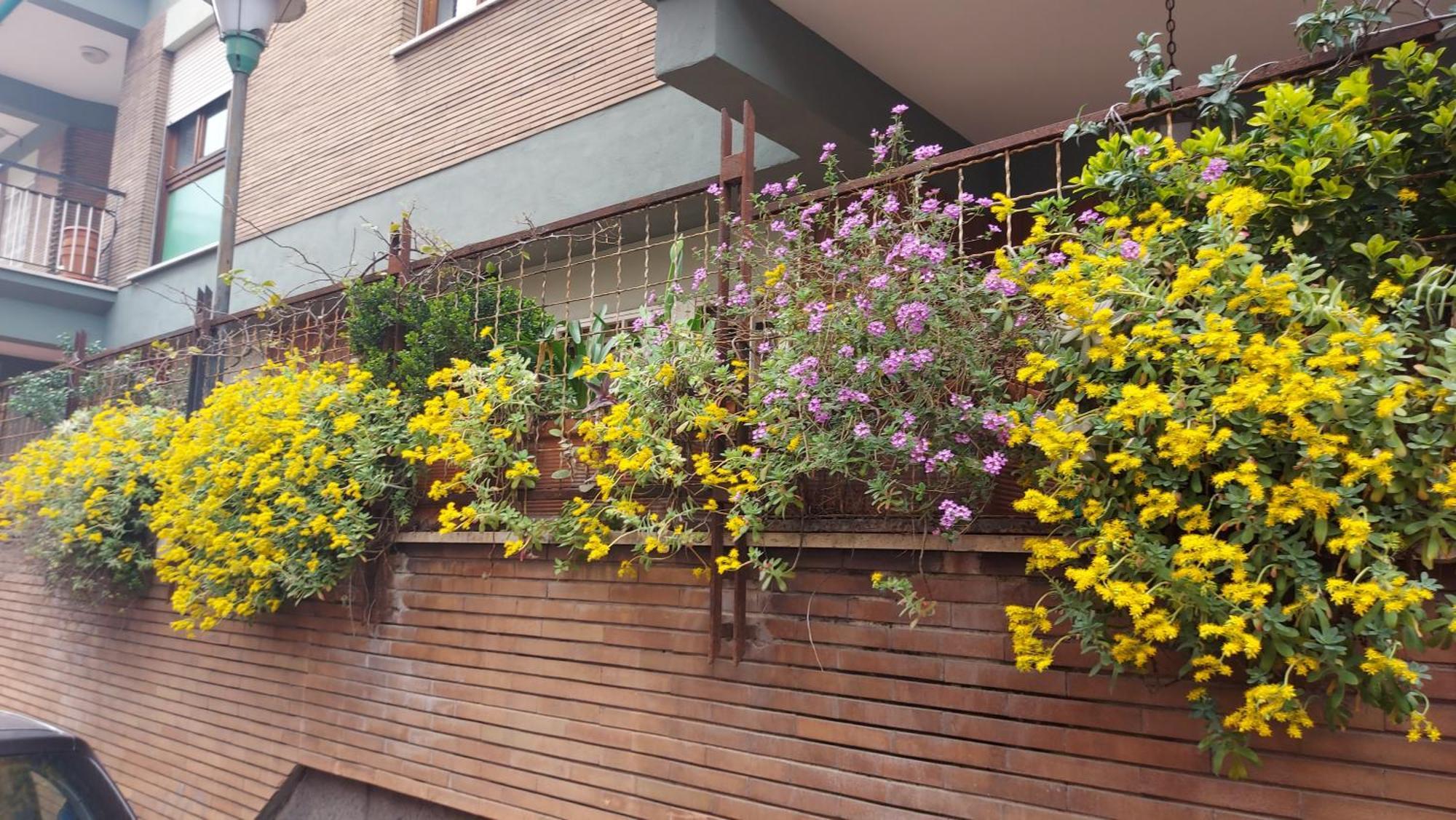Appartamento Isabella Roma Ngoại thất bức ảnh